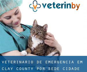 Veterinário de emergência em Clay County por sede cidade - página 1