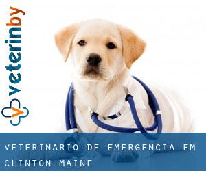 Veterinário de emergência em Clinton (Maine)