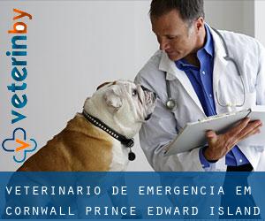 Veterinário de emergência em Cornwall (Prince Edward Island)