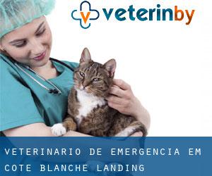 Veterinário de emergência em Cote Blanche Landing