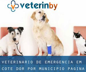 Veterinário de emergência em Cote d'Or por município - página 3