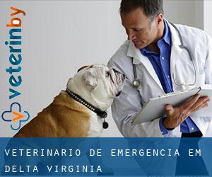 Veterinário de emergência em Delta (Virginia)