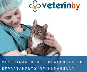 Veterinário de emergência em Departamento de Humahuaca