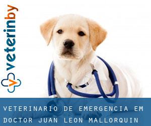 Veterinário de emergência em Doctor Juan León Mallorquín