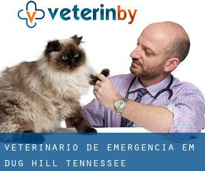 Veterinário de emergência em Dug Hill (Tennessee)