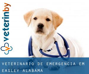 Veterinário de emergência em Easley (Alabama)