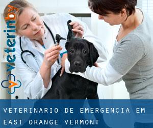 Veterinário de emergência em East Orange (Vermont)
