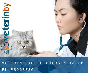 Veterinário de emergência em El Progreso