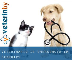 Veterinário de emergência em February