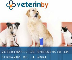 Veterinário de emergência em Fernando de la Mora