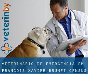 Veterinário de emergência em François-Xavier-Brunet (census area)