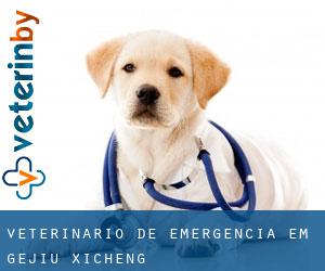 Veterinário de emergência em Gejiu / Xicheng Veterinário de emergência em Gejiu / Xicheng