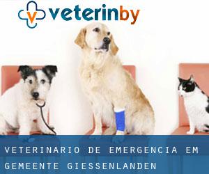Veterinário de emergência em Gemeente Giessenlanden