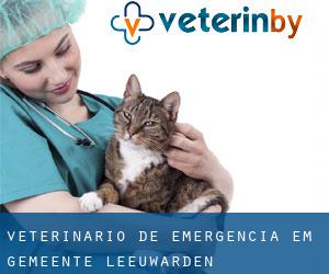 Veterinário de emergência em Gemeente Leeuwarden