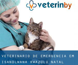 Veterinário de emergência em Isandlwana (KwaZulu-Natal)