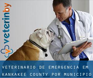 Veterinário de emergência em Kankakee County por município - página 1