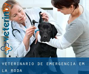 Veterinário de emergência em La Roda