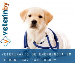 Veterinário de emergência em Le Bons Bay (Canterbury)