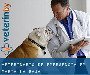 Veterinário de emergência em María la Baja