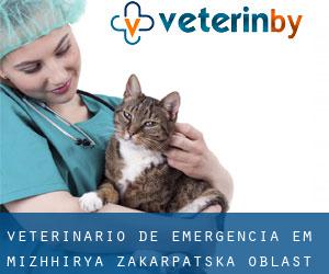 Veterinário de emergência em Mizhhir'ya (Zakarpats’ka Oblast’)