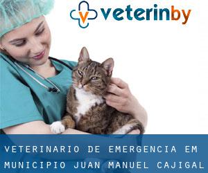 Veterinário de emergência em Municipio Juan Manuel Cajigal
