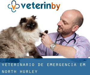 Veterinário de emergência em North Hurley