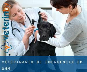 Veterinário de emergência em Ohm