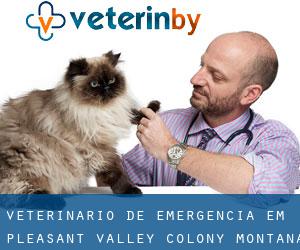 Veterinário de emergência em Pleasant Valley Colony (Montana)