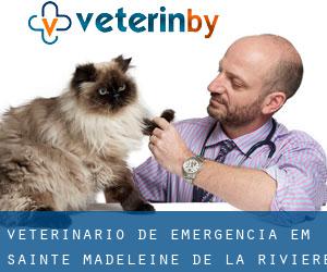 Veterinário de emergência em Sainte-Madeleine-de-la-Rivière-Madeleine