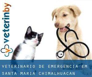 Veterinário de emergência em Santa María Chimalhuacán