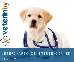 Veterinário de emergência em Semily Veterinário de emergência em Semily