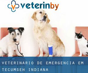 Veterinário de emergência em Tecumseh (Indiana)