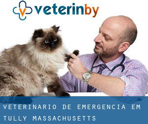 Veterinário de emergência em Tully (Massachusetts)