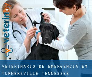 Veterinário de emergência em Turnersville (Tennessee)