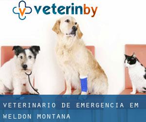 Veterinário de emergência em Weldon (Montana)