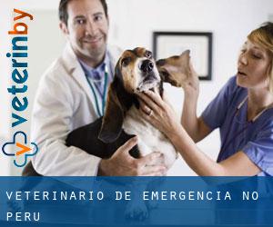 Veterinário de emergência no Peru