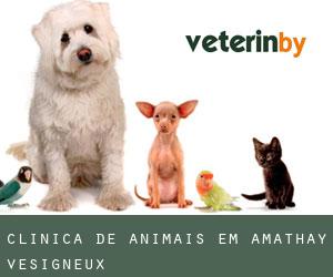 Clínica de animais em Amathay-Vésigneux