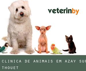 Clínica de animais em Azay-sur-Thouet