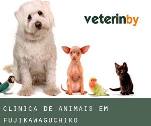 Clínica de animais em Fujikawaguchiko