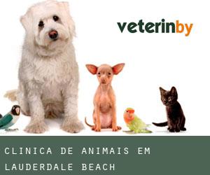 Clínica de animais em Lauderdale Beach