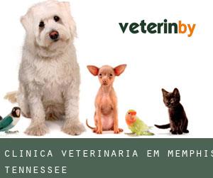 Clínica veterinária em Memphis (Tennessee)