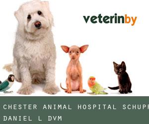 Chester Animal Hospital: Schupp Daniel L DVM