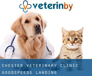 Chester Veterinary Clinic (Goodspeeds Landing)