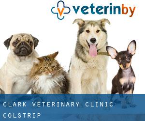 Clark Veterinary Clinic (Colstrip)