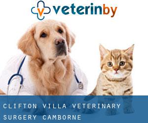 Clifton Villa Veterinary Surgery (Camborne)