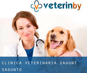 Clínica Veterinaria Sagunt (Sagunto)