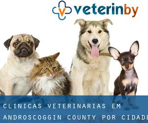 clínicas veterinárias em Androscoggin County por cidade importante - página 1