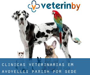 clínicas veterinárias em Avoyelles Parish por sede cidade - página 1