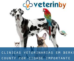 clínicas veterinárias em Berks County por cidade importante - página 4