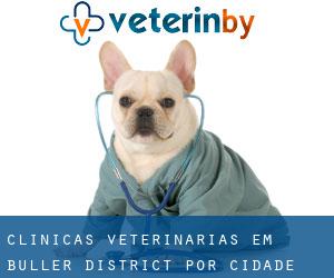clínicas veterinárias em Buller District por cidade importante - página 1
